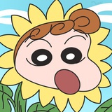 一朵小小向日葵
