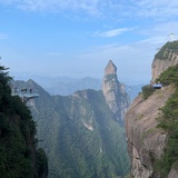 金存美