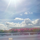 空白白白白