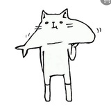鱼与鱼与鱼🐟