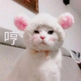 梅川内依酱
