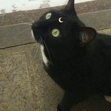 沧水