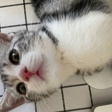 Eki