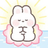 海螺壳