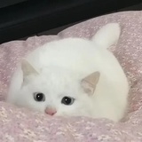 溜溜