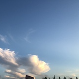 凡尘小妖