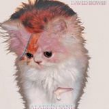 Dustcat