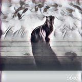 Hollow