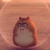 小布丁