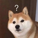 出大问题