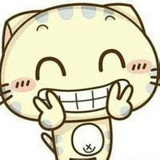 赵战业