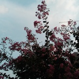 是之钧