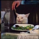 豆友147288796
