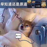 蓝色的意识