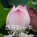 八转