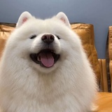 四月西瓜