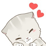 无水绵