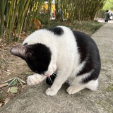 不要延迟退休ST