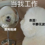 册册办