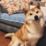 林墨（逛街中）