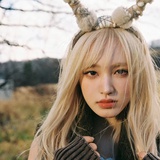 豆豆爱啃骨头🦴