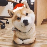 咕咕