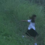 冻柿子小狗