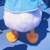 赵凯丽