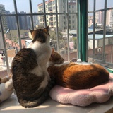 和你等风来