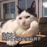 🐶🐱🐰