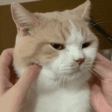 少和我来这套