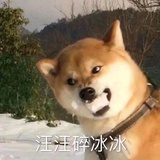 陈维C