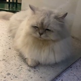 起个什么名字好