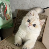 指尖