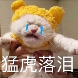 啊丹