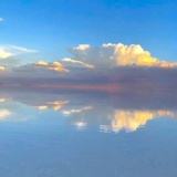 鸢尾