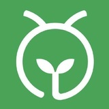 蚂蚁森林合种