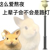 今日放飞靛青色