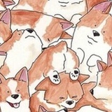 柯基屁股