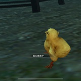 漫步漫漫