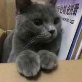 sancifty