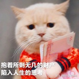 雨