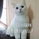 飞走的鱼
