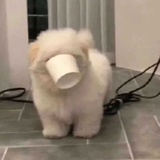 容器人