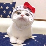 丫头