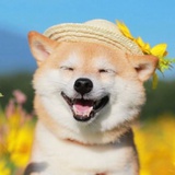 。