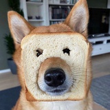 吧啦吧吧啦吧