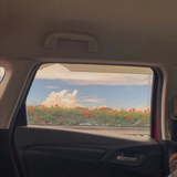 一朵旧时波
