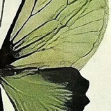 繆