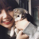 Jinji coco